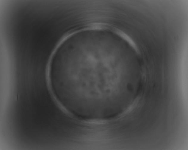 X0000101441091200807071357