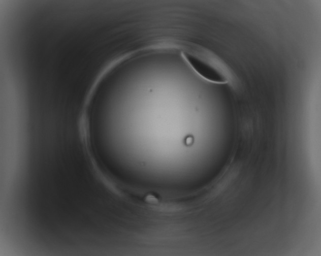 X0000101441092200807071357