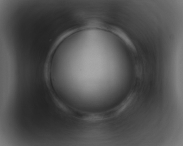 X0000101441094200807071357