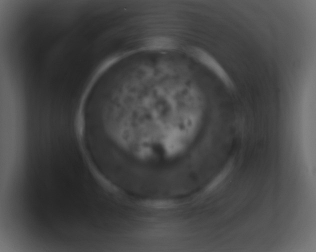 X0000101441095200807071357