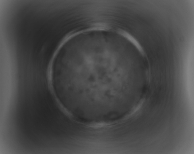 X0000101441099200807071357