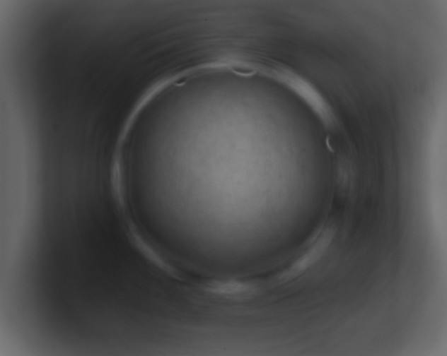 X0000101441100200807071357