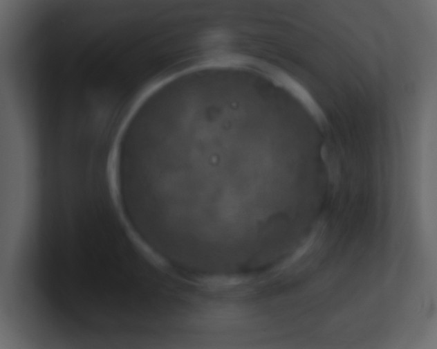 X0000101441103200807071357