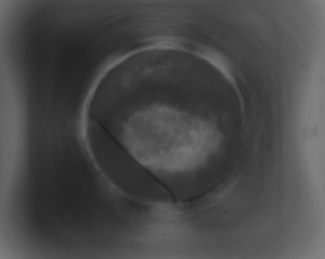 X0000101441104200807071357