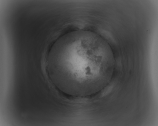 X0000101441105200807071356
