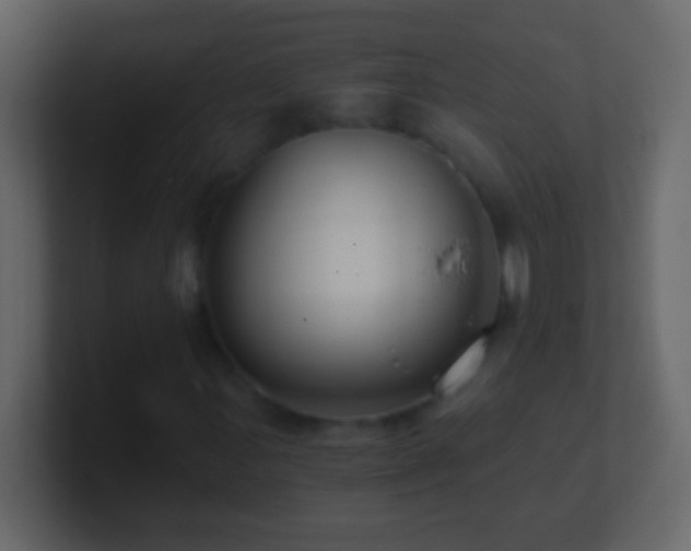X0000101441107200807071356