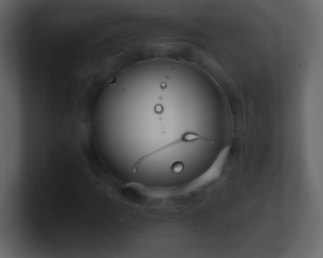 X0000101441109200807071357