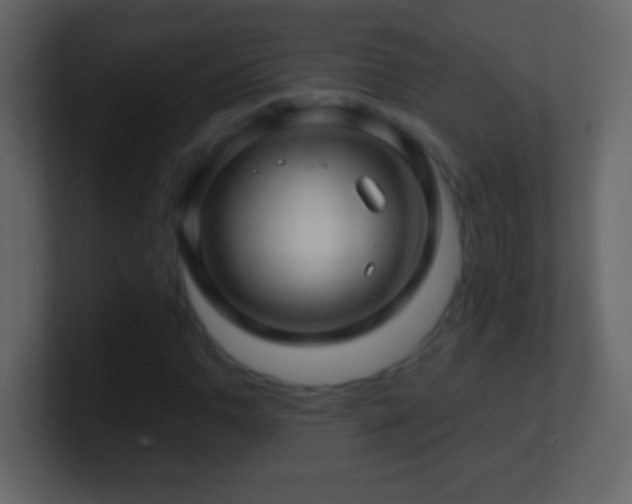 X0000101441110200807071357