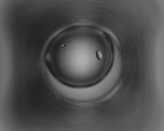 X0000101441114200807071357