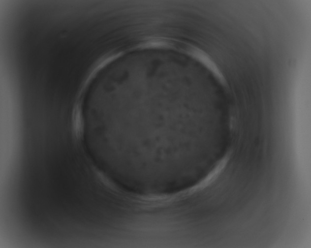 X0000101441117200807071357