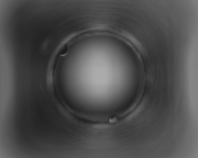 X0000101441118200807071357