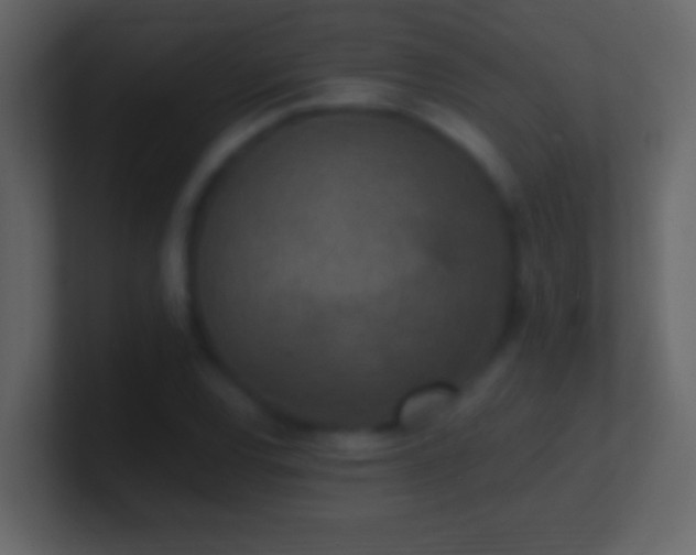 X0000101441120200807071357