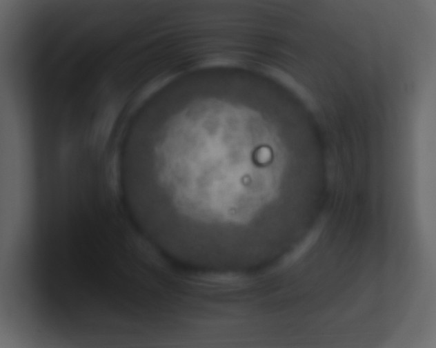 X0000101441121200807071357