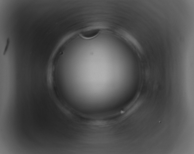 X0000101441124200807071357