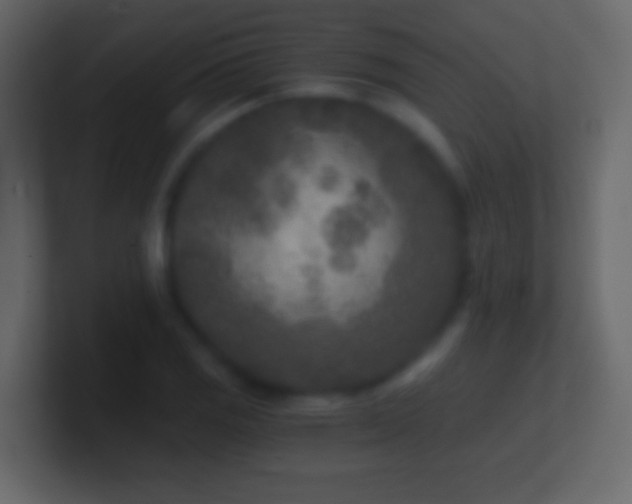 X0000101441125200807071357