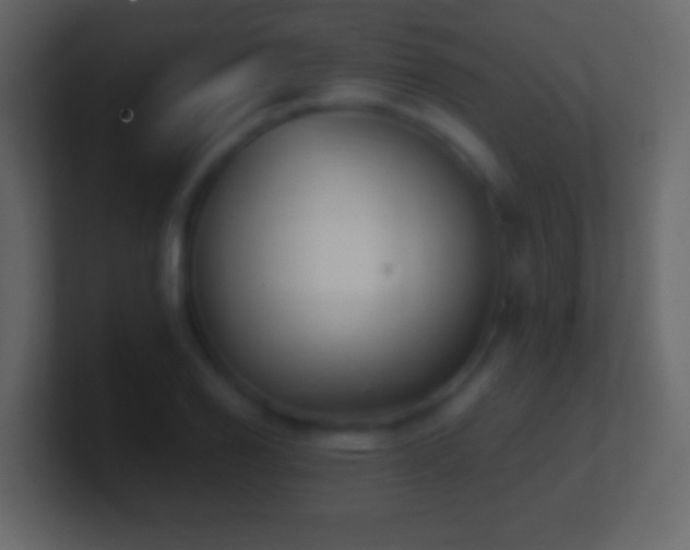 X0000101441126200807071357