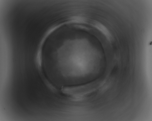 X0000101441128200807071357