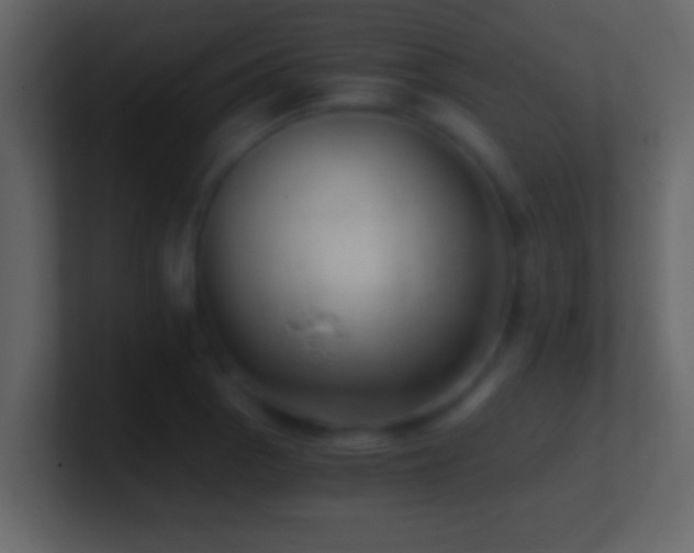 X0000101441129200807071357