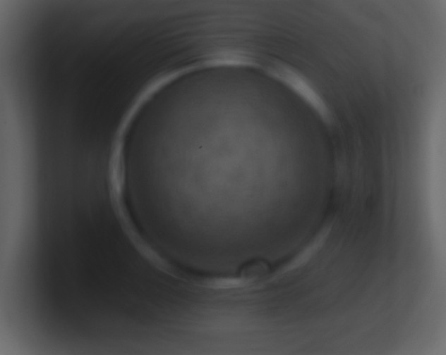 X0000101441132200807071357