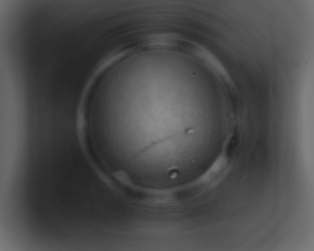 X0000101441133200807071357