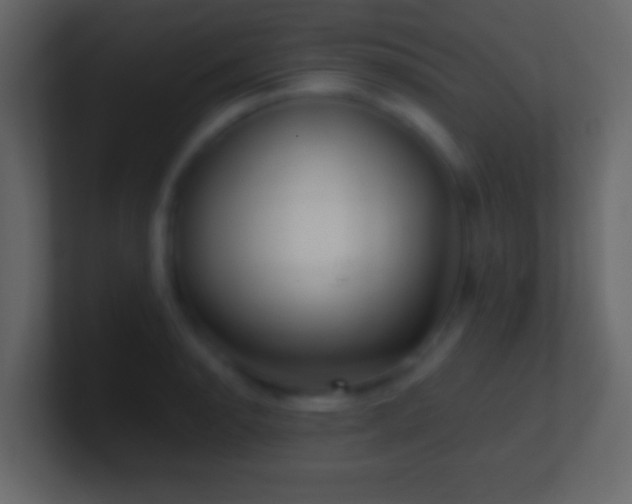 X0000101441134200807071357