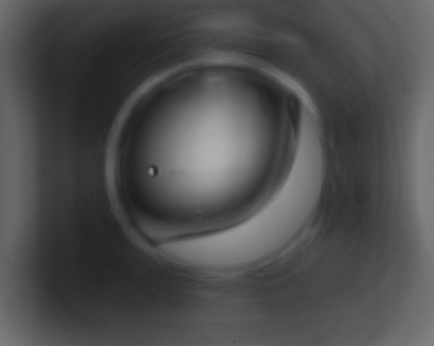 X0000101441136200807071357