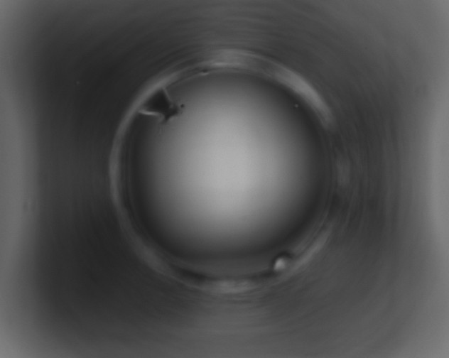 X0000101441138200807071357