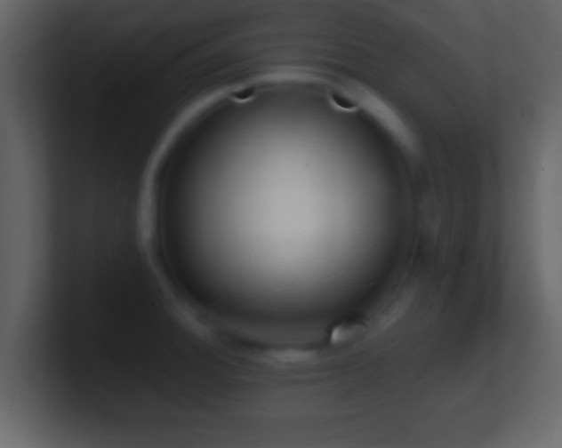 X0000101441140200807071357