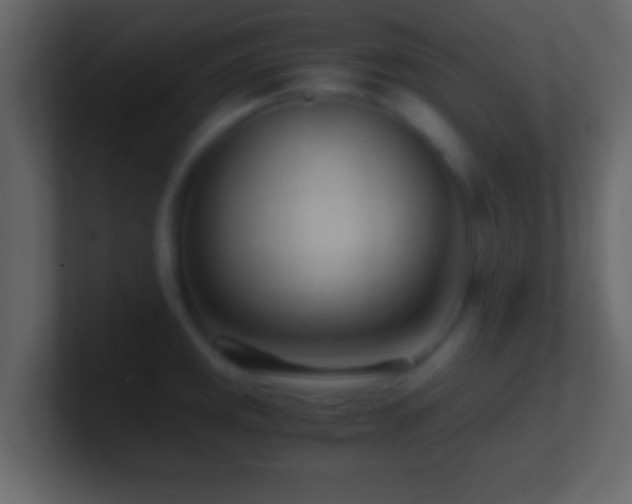 X0000101441141200807071357