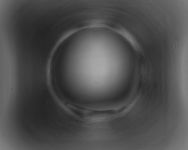 X0000101441142200807071357