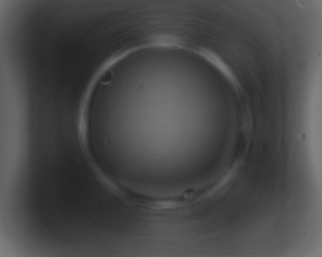 X0000101441144200807071357