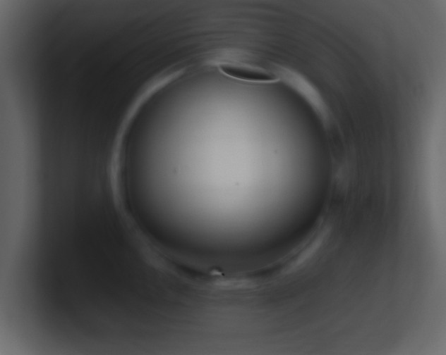 X0000101441146200807071357