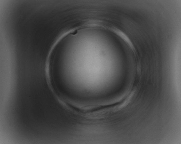 X0000101441149200807071357