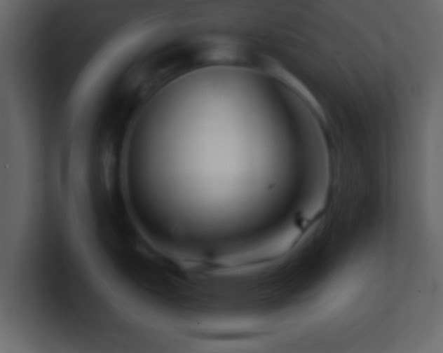 X0000101441151200807071357