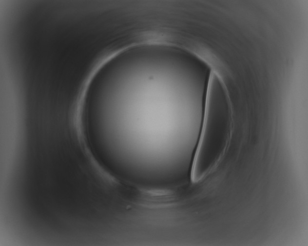 X0000101441152200807071357