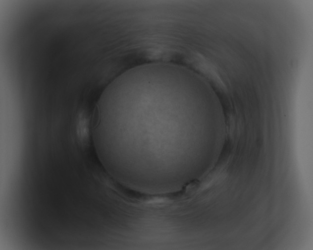 X0000101441154200807071356