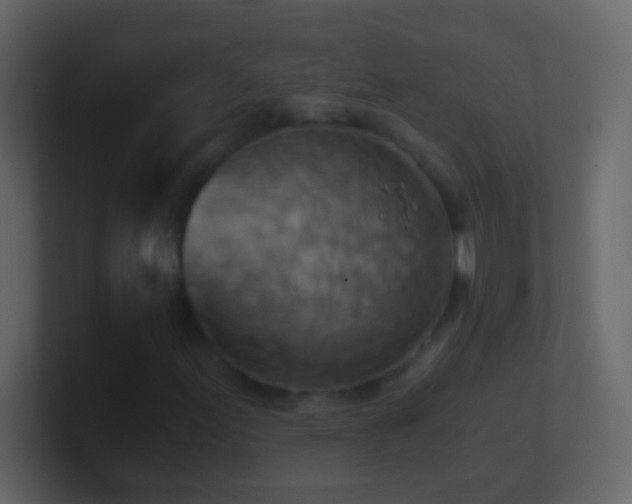 X0000101441155200807071356