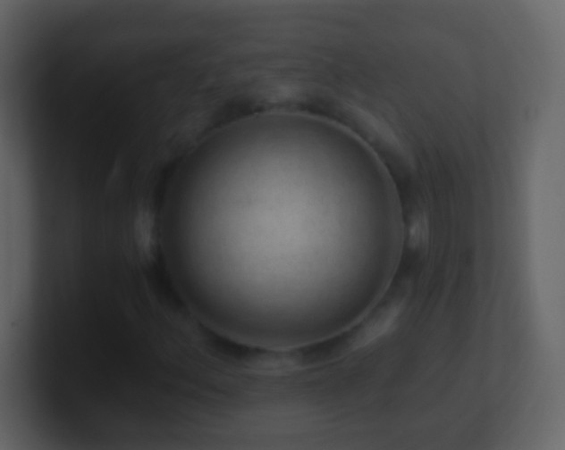 X0000101441156200807071356