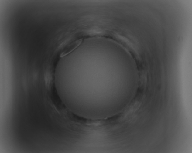 X0000101441157200807071356