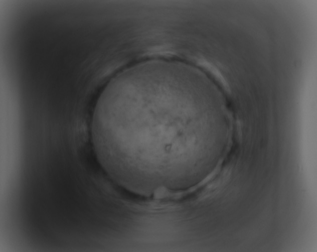 X0000101441159200807071356