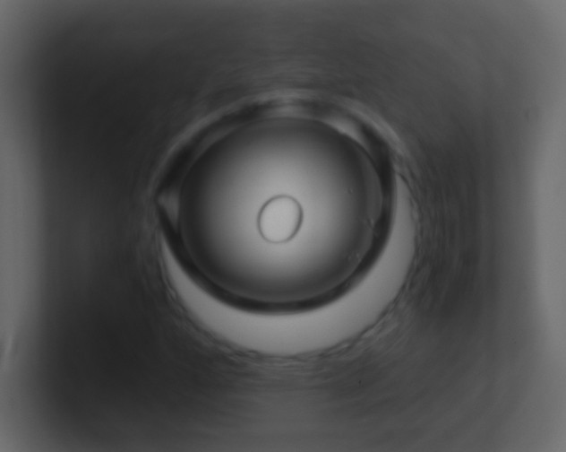 X0000101441160200807071356