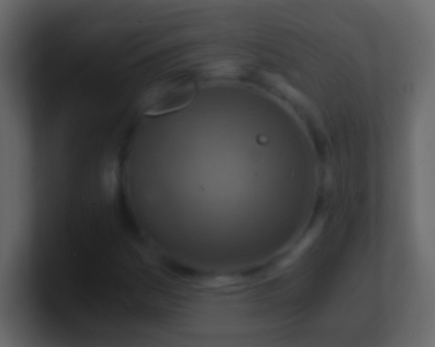 X0000101441161200807071356