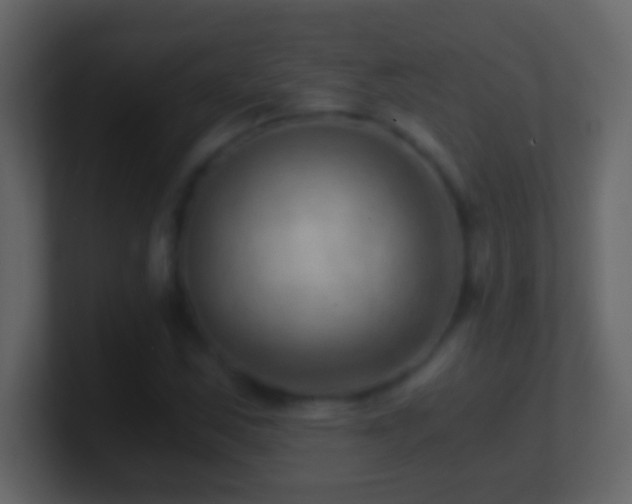 X0000101441163200807071356