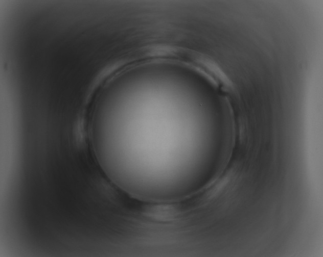 X0000101441164200807071356