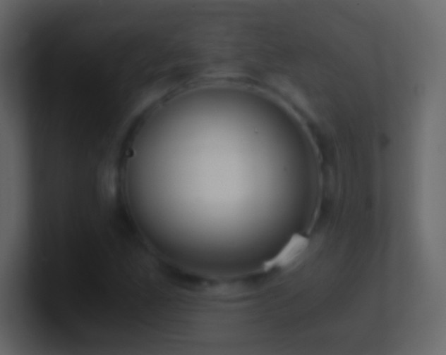 X0000101441165200807071356