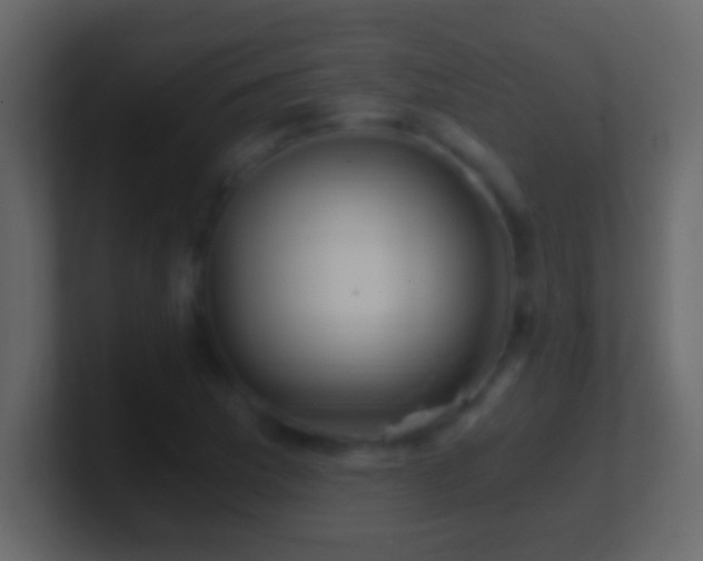 X0000101441169200807071356