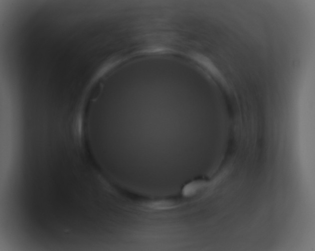 X0000101441173200807071356