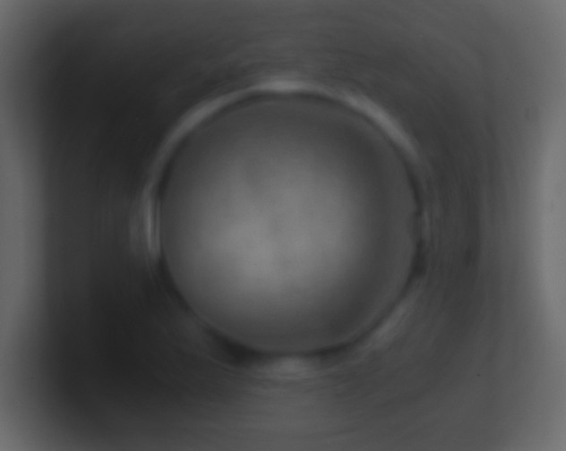 X0000101441175200807071356