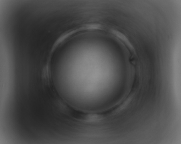 X0000101441176200807071356