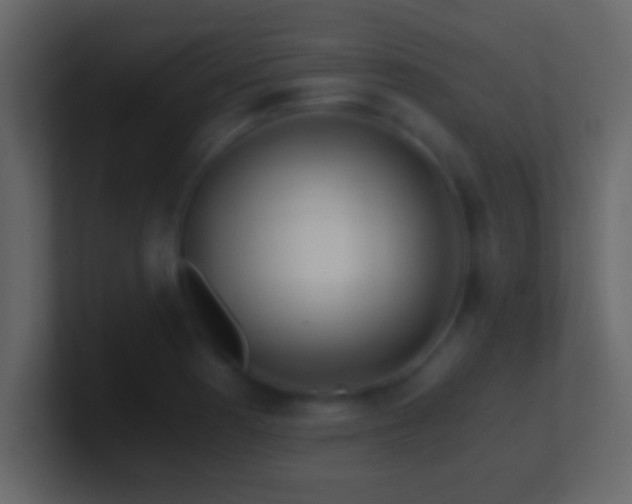 X0000101441177200807071356